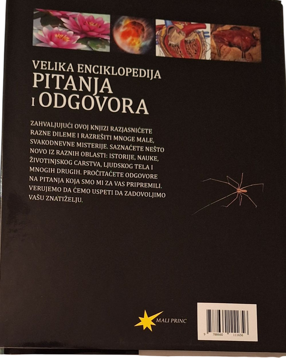 Velika Enciklopedija Pitanja i Odgovora