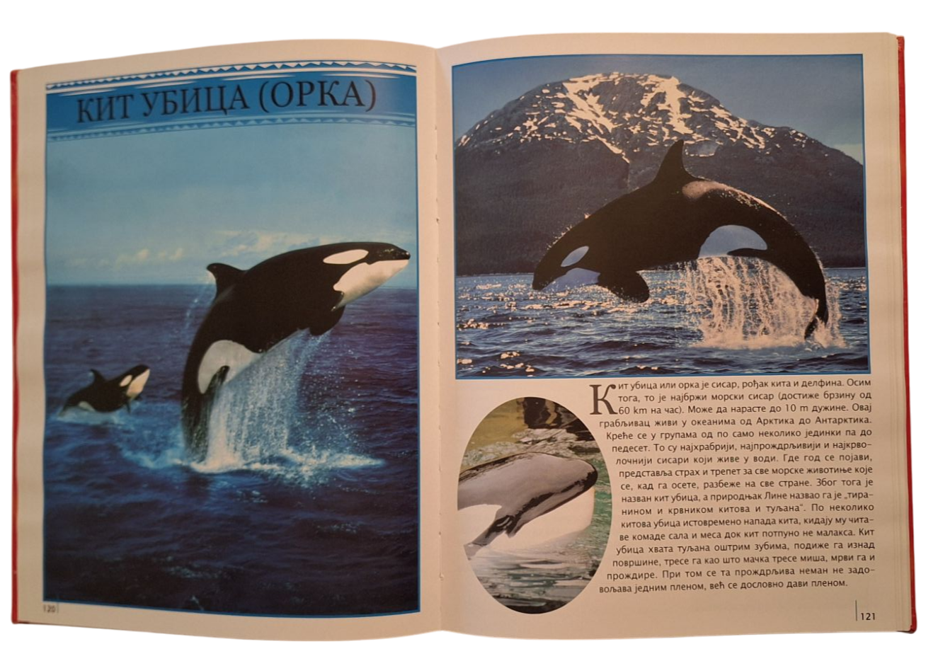 Upoznajmo Životinje