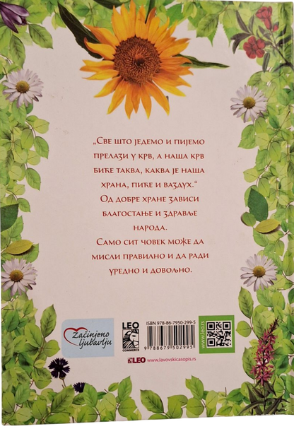 Pelagićev narodni učitelj - Vasa Peljagić